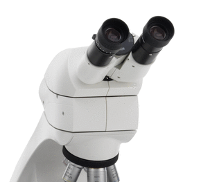 徕卡DM750生物显微镜 徕卡dm750显微镜 徕卡dm750生物显微镜报价  徕卡dm750显微镜价格示例图5
