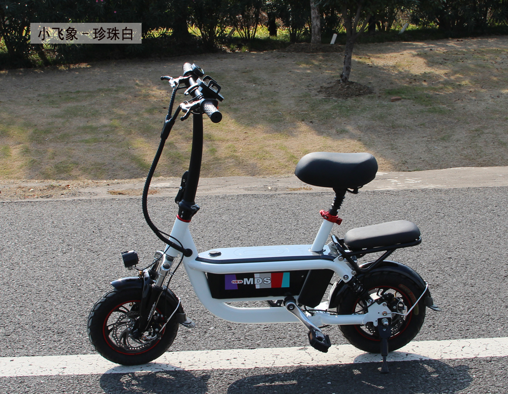 小飞象折叠电动车48v锂电池电动自行车成人
