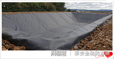 泻湖防渗土工膜 HDPE土工膜1.20mm幅宽6米长度50米厂家直销价格示例图2