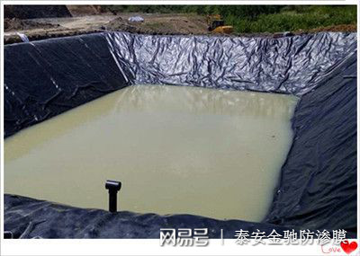 天津市垃圾填埋场用高密度聚乙烯HDPE0.75mm防渗土工膜价格示例图4