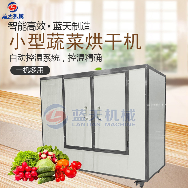 小型蔬菜烘干机 小型脱水蔬菜烘干设备 蔬菜烘干箱 ts500蔬菜烘干示例图1