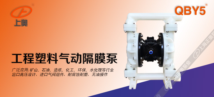 上海QBY5-32F型气动隔膜泵 工程塑料隔膜泵 耐腐蚀隔膜泵 溶剂泵示例图1