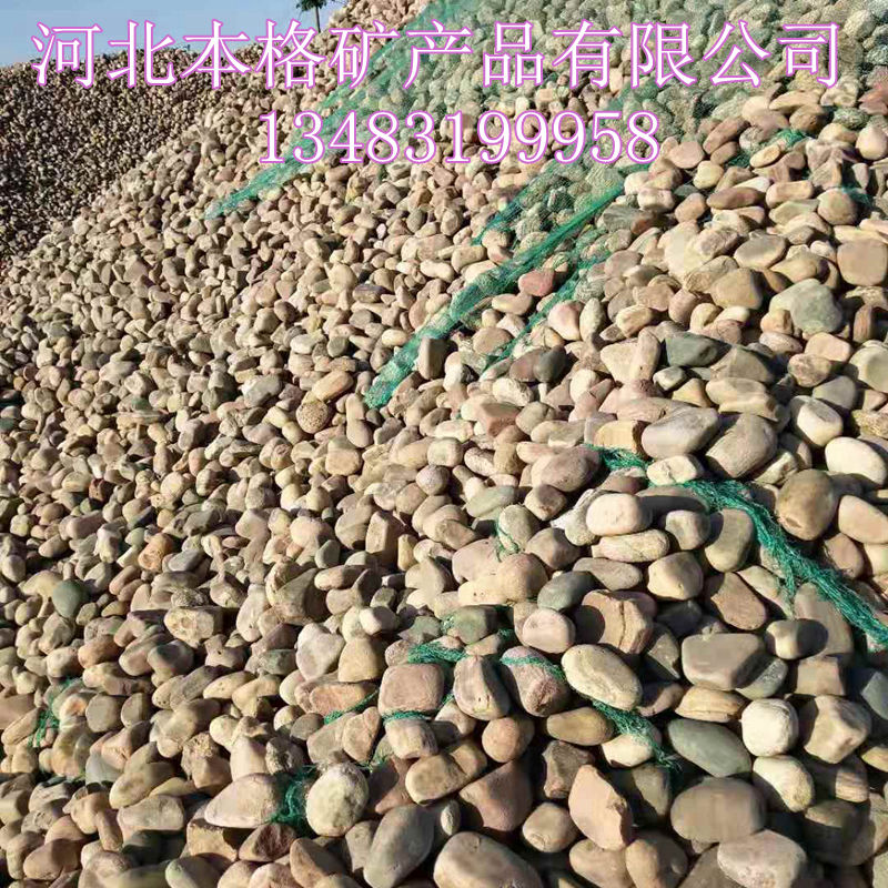 微信图片_20_副本.jpg