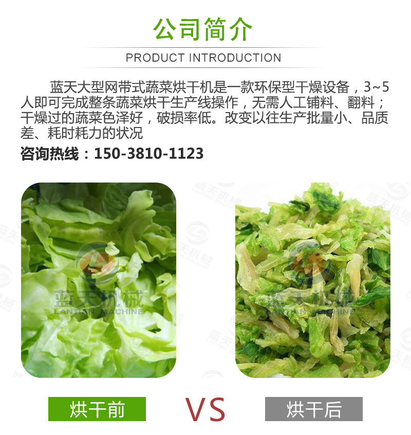 网带式蔬菜烘干机 脱水蔬菜干网带干燥机 不锈钢蔬菜带式烘干设备示例图2