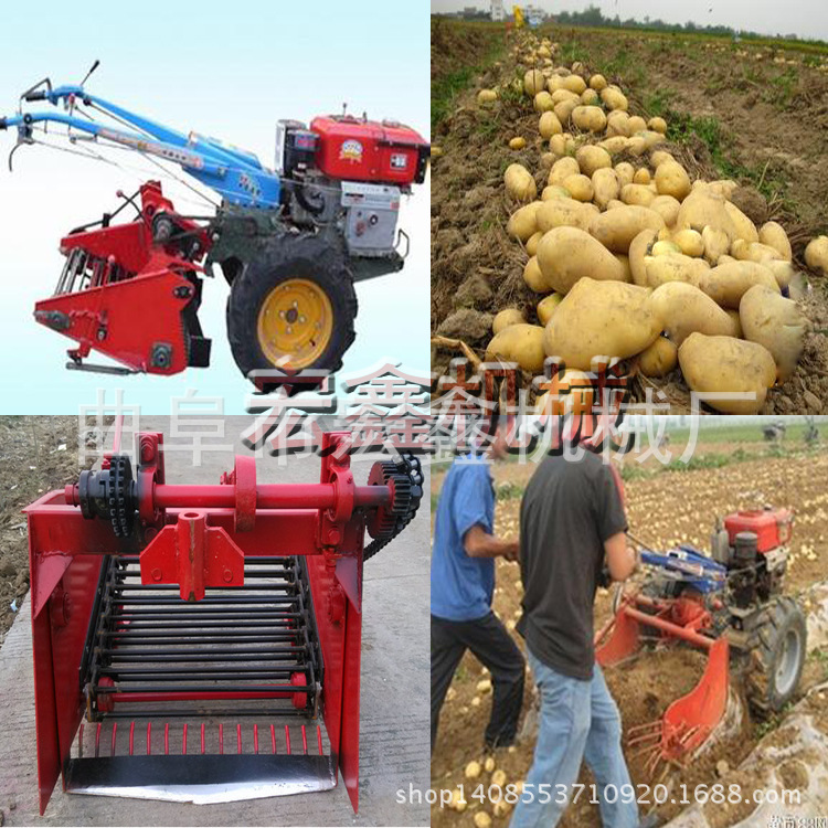 手扶车带土豆收获机 挖土豆机器 小型土豆红薯收获机示例图25