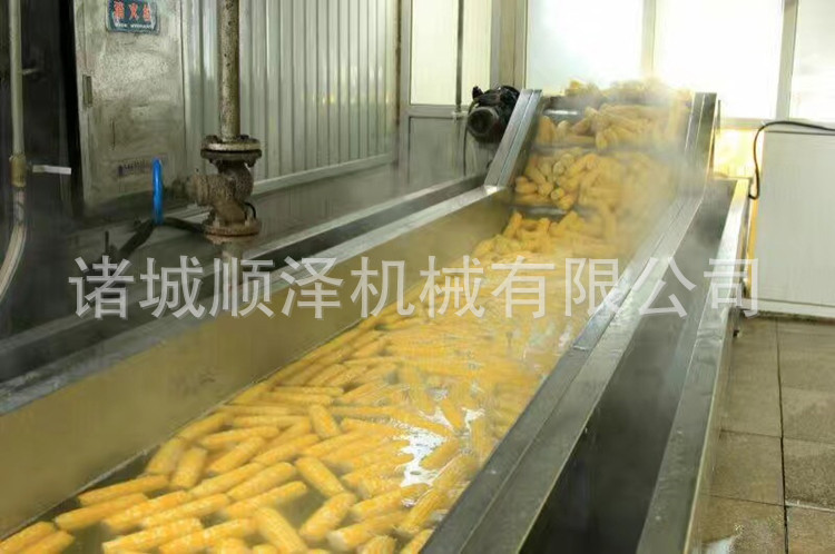 整套玉米加工设备 玉米清洗机 玉米漂烫冷却机 顺泽直销 送货上门示例图14
