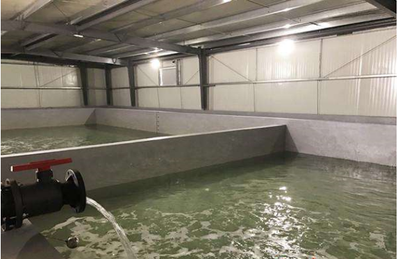 广州诺雄直销 水池降温冰水机 海鲜养殖冰水机 鱼塘降温冰水机 1-50HP示例图2