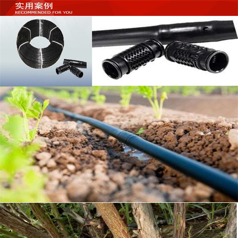 四川省 大棚蔬滴灌管指导安装 厂家直销 