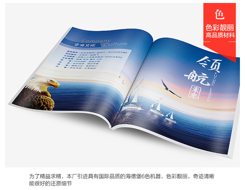 广州精装画册印刷 印刷企业宣传册 产品精装画册 产品说明书印刷示例图4
