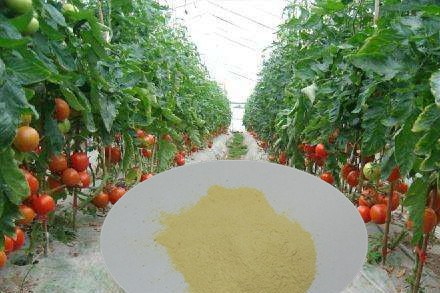 肥料厂供应氨基酸液体肥 有机肥专用有机肥料叶面肥氨基酸土壤水果树盆栽营养土包