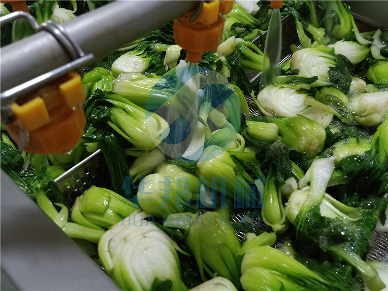 大枣气泡清洗机 生菜叶类蔬菜去泥清洗机 食堂酒店用大型洗菜机示例图3