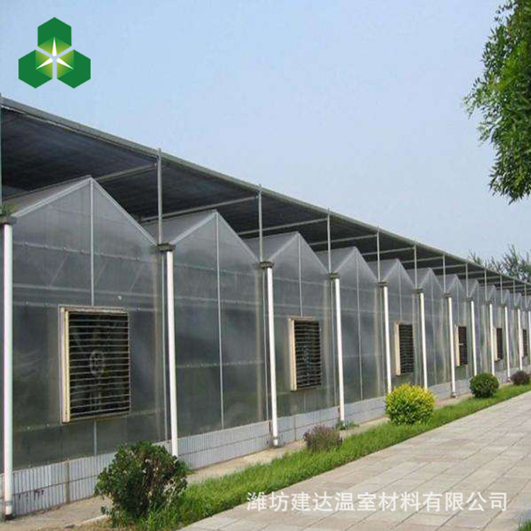 专业安装设计玻璃温室 智能温室 日光温室 连栋温室 阳光板温室示例图9