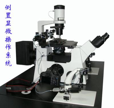 澳浦荧光显微镜 DSY5000X 倒置荧光显微镜 UOP荧光显微镜 重光显微镜示例图2