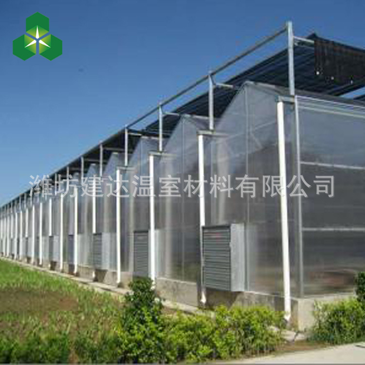 厂家直销阳光板温室 美观连栋温室大棚 定制批发结构稳定文洛温室示例图4