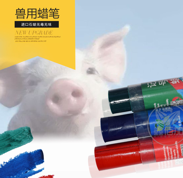猪用记号蜡笔 记号蜡笔红绿蓝三色 猪身画笔兽用划号笔 兽用蜡笔示例图1