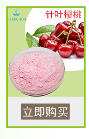 厂家直销天然食品级蓝莓粉提取物 花青素蓝莓粉末香精 蓝莓果粉示例图11