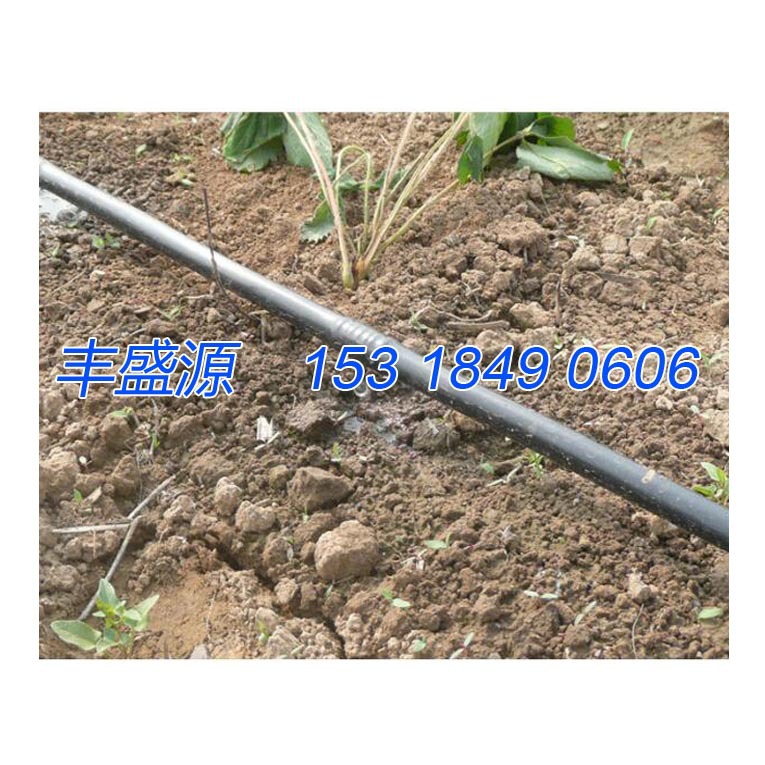 果园水肥一体滴灌设备 20滴灌管 可调滴头 滴灌施肥方法示例图8