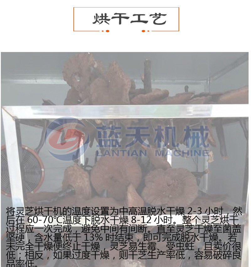 空气能灵芝烘干机 热风循环灵芝草烘干箱 赤灵芝丹芝菌灵芝烘干房示例图26