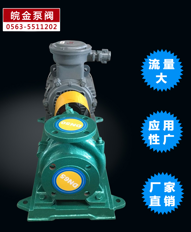 皖金大流量清水泵，清水泵规格型号，is卧式水泵，防腐管道泵，铸铁泵型号示例图6