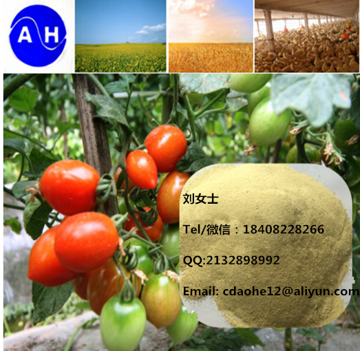 氨基酸螯合镁 微量元素水溶肥 农用氨基酸有机肥