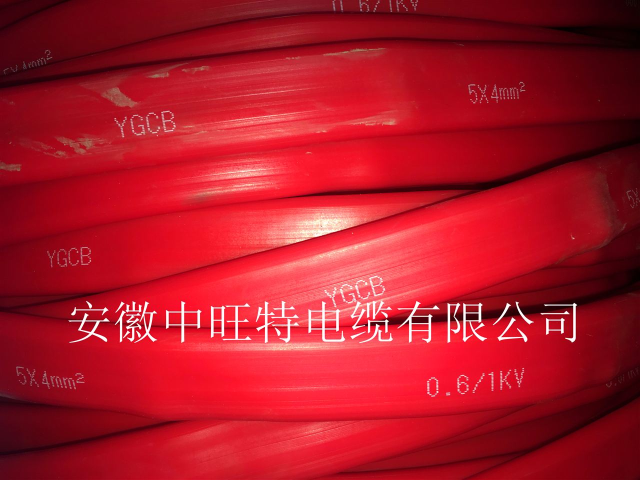 YGCB硅橡胶扁电缆 YGGB高温硅橡胶扁平电缆 YGGB-VFRP YGGB-VFR示例图2