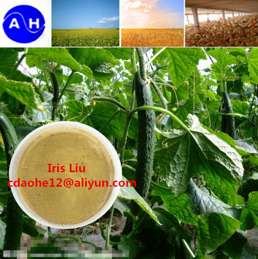 有机肥原料 生物制剂 生物有机肥料 氨基酸肥料 有机肥生产厂家