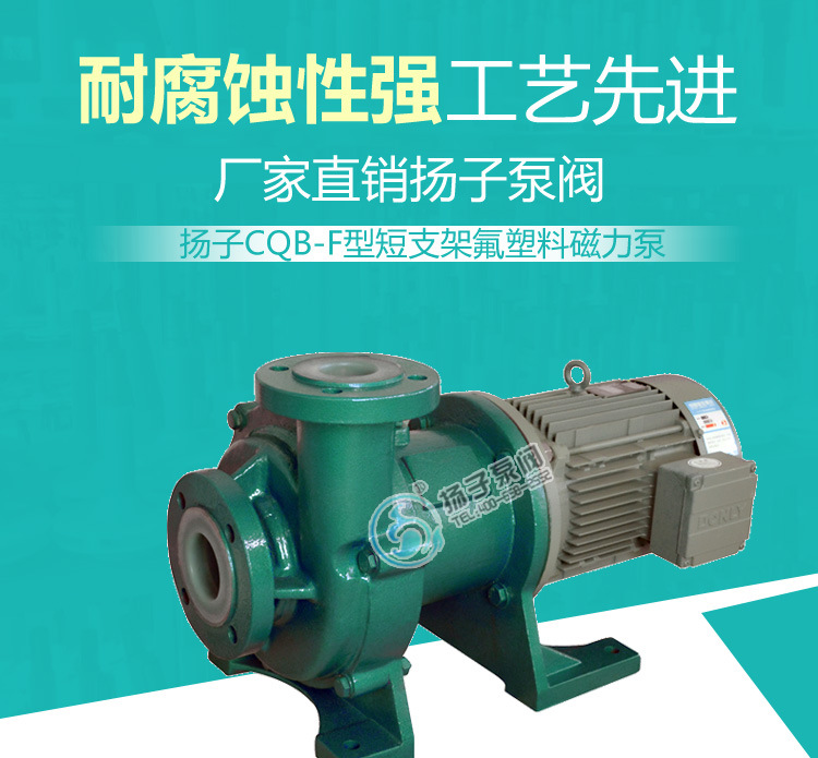 氟塑料合金磁力泵CQB65-50-160FD耐腐蚀化工泵耐强酸强碱磁力泵示例图1