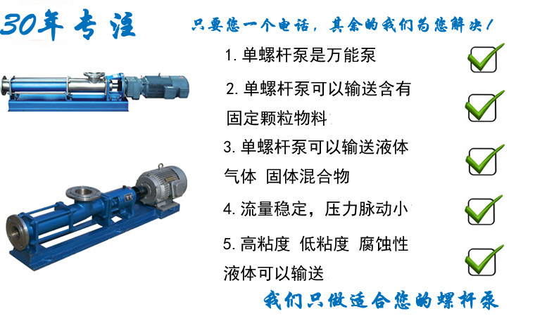 输送膏状物泵用G20-2V-W101单螺杆泵-远东泵业示例图2
