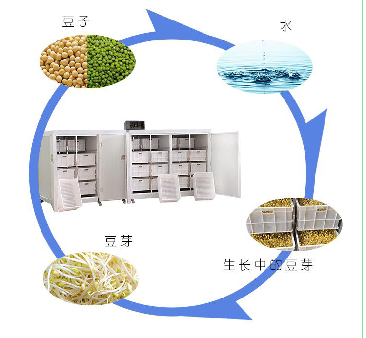 商用智能豆芽机设备 无公害自然生豆芽机器 小型全自动豆芽机价格示例图26