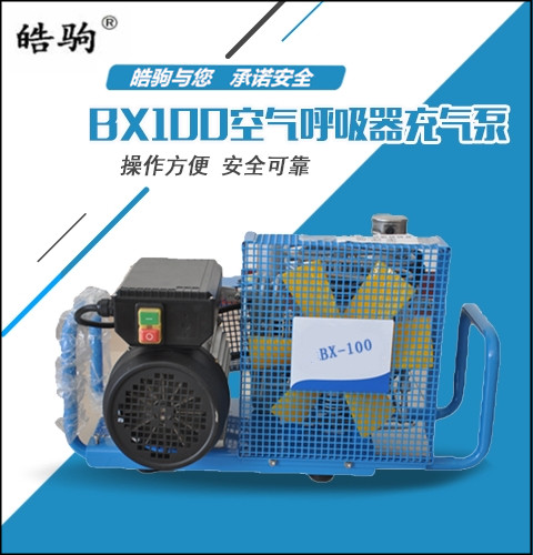 皓驹BX100空气呼吸器填充泵，高压空气压缩机厂家直销，空气呼吸器充填泵电机，空气压缩机，空气充气泵电机示例图1