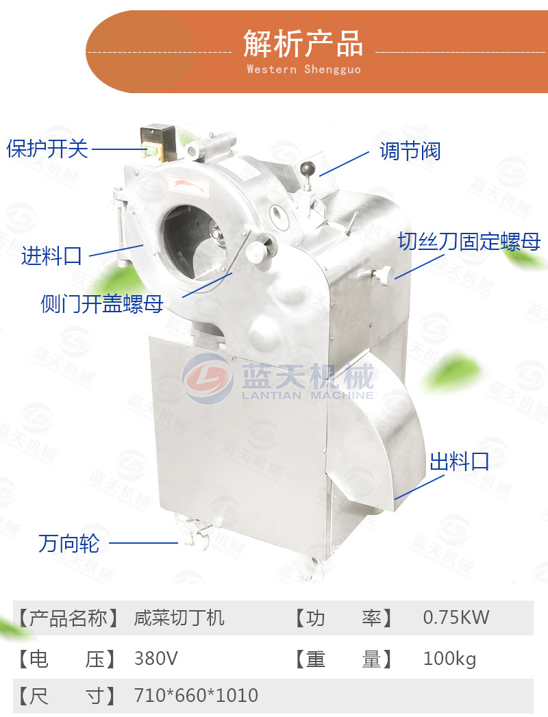 蓝天多功能果蔬切丁机 不锈钢果蔬切菜机 高速果蔬切丁设备生产商示例图5