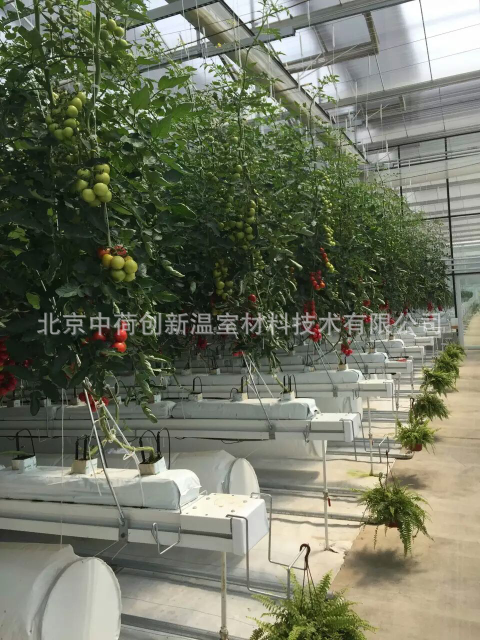 温室种植槽栽培槽番茄立体栽培用栽培槽蔬菜无土种植栽培槽批发示例图11