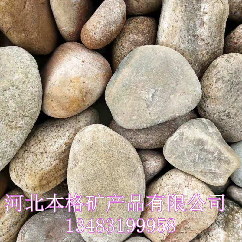 微信图片_20_副本.jpg
