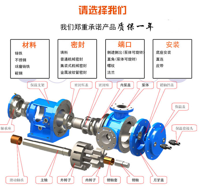 输送粘接剂泵NYP220B-RU-T1-W11高粘度泵,口径100,采用填料密封,铸铁泵体示例图2