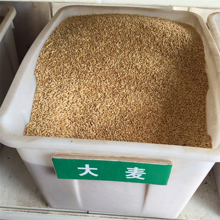 厂家批发大麦 特级带壳大麦 优质精选大麦米饲料农作物示例图12