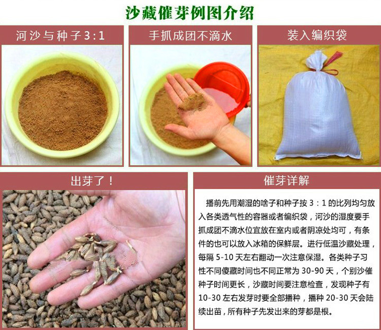 厂家批发大麦 特级带壳大麦 优质精选大麦米饲料农作物示例图23