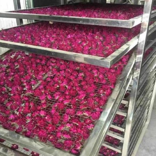 玫瑰花茶烘干机 低温热风玫瑰花烘干设备 小型箱式玫瑰花蕾干燥箱