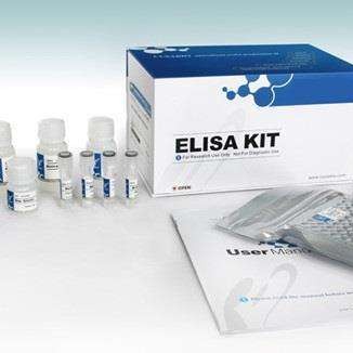 牛乳糖合成酶(LS)ELISA酶联免疫试剂盒图片
