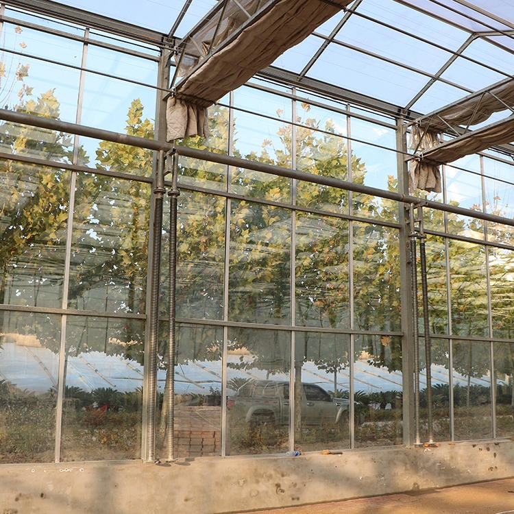 新型智能玻璃温室 玻璃温室大棚 嘉诺玻璃温室大棚建设厂家全国施工