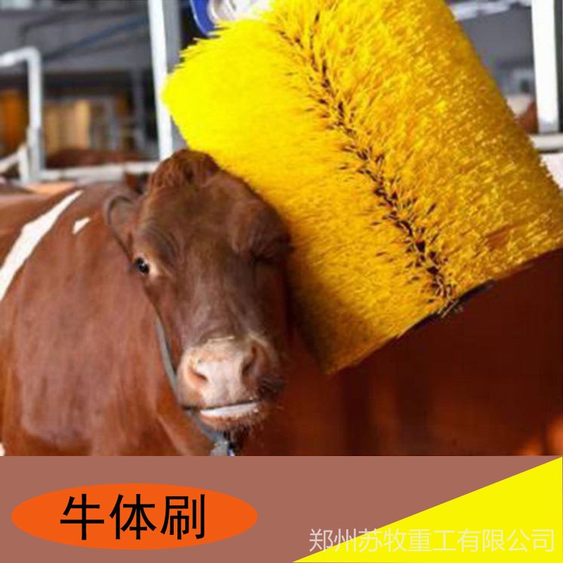 牛场设备 自动感应牛体刷厂家直销 电动牛刷子  奶牛体刷现货秒发图片