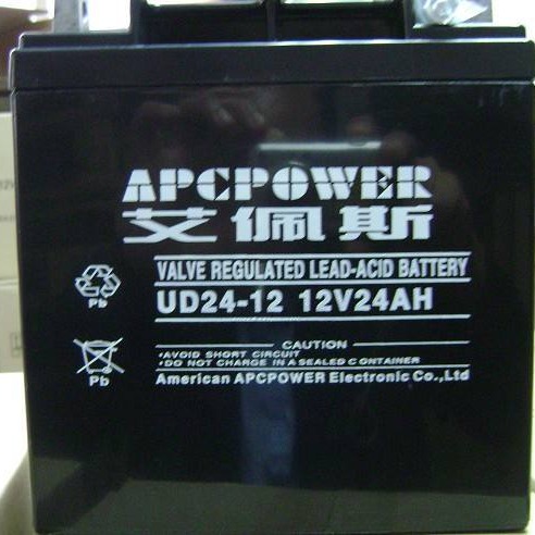艾佩斯蓄电池UD24-12 铅酸免维护电池 储能应急 艾佩斯12V24AH 报价参考图片