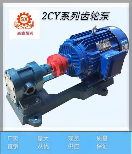 厂家供应2CY系列增压 燃油喷射泵 高压齿轮泵 震动小 效率高图片