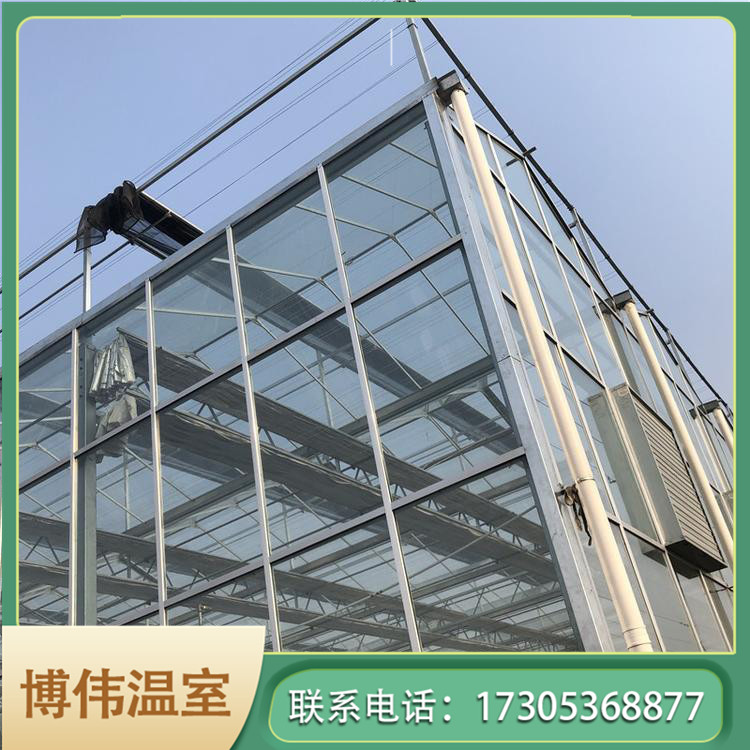 玻璃连栋温室 智能花卉温室 花卉大棚工程 博伟 BW