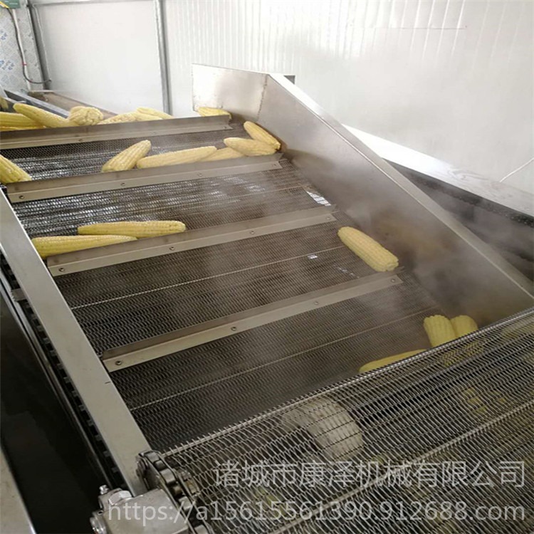 康泽SZ1000型玉米去胡须清洗设备 玉米气泡清洗机 玉米加工生产线