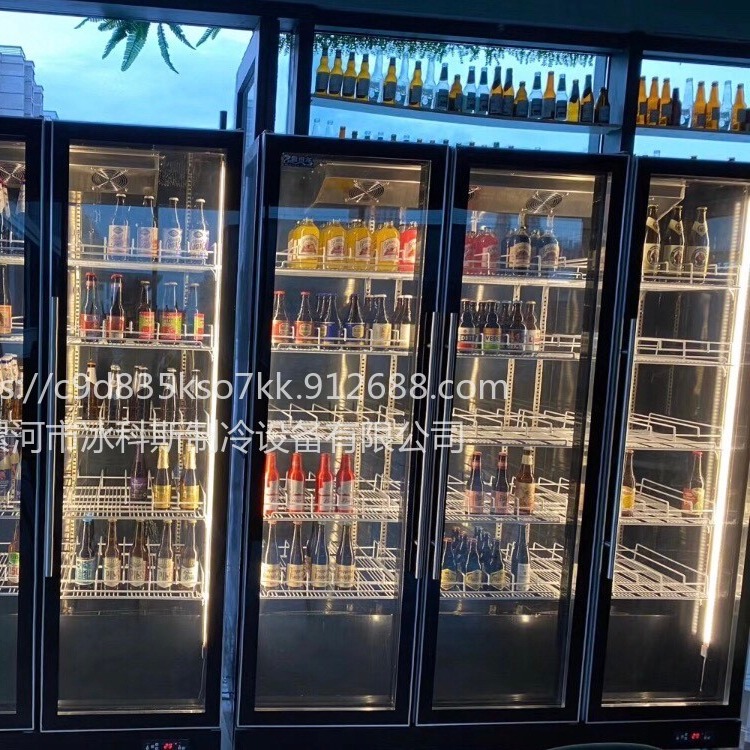 漳州啤酒柜 酒吧展示柜 冷藏商用冰箱 超市保鲜柜 网红冰柜 三门饮料柜  未来雪冷柜WLX-QP-62