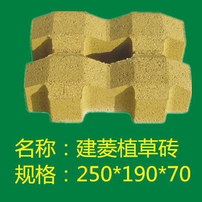 郑州建菱砖厂家直销20010060彩色通体建菱砖