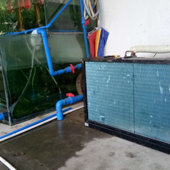 诺雄海鲜机 鱼池冷水机 鱼缸制冷机 海鲜养殖制冷机 水池循环冰水机图片