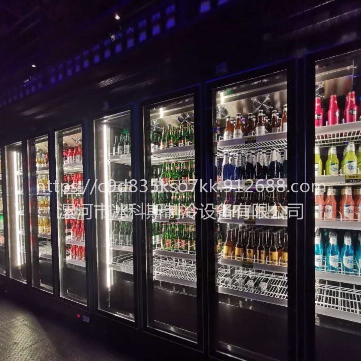 深圳全屏展示柜 网红饮料柜 立式啤酒冷藏保鲜柜 商用双门冰箱 三门冷柜 未来雪冷柜WLX-QP-05图片