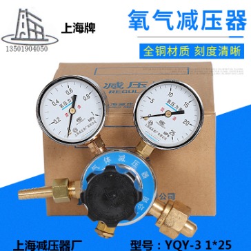 上海减压器厂 YQY-12氧气减压器 YQY12双压力表氧气减压阀 25X2.5mpa 氧气压力表 质保5年图片