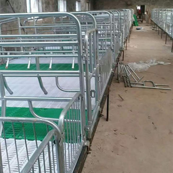 世昌畜牧 CH-3加重母猪产床 母猪产床尺寸 优质双体母猪产床 猪产床厂家